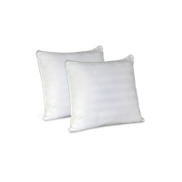 Square Pillow / Throw Pillow Square Pillow / Throw Pillow